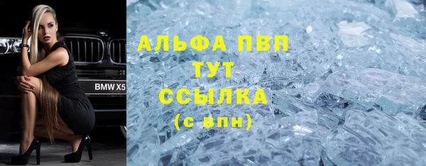прущий лед Алзамай